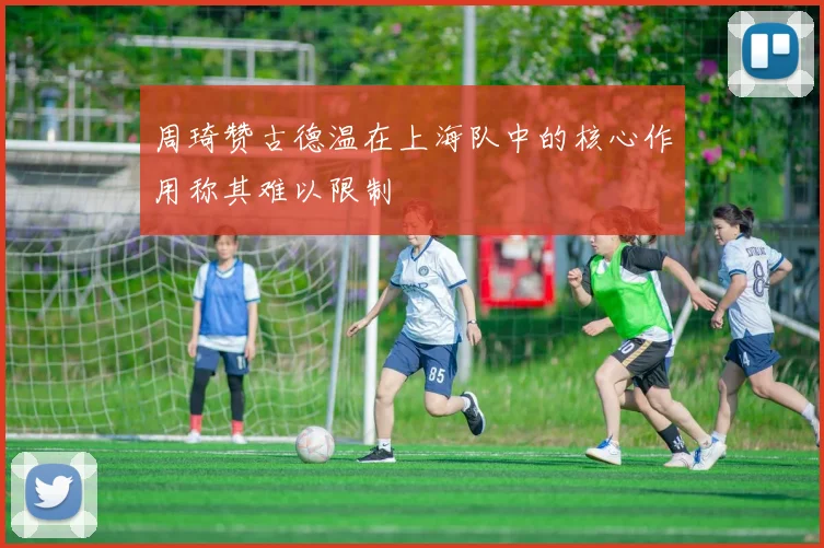 周琦赞古德温在上海队中的核心作用称其难以限制